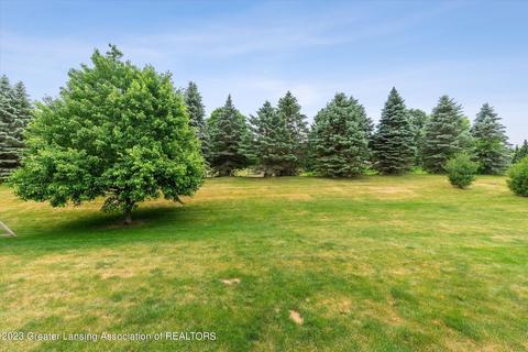 12946 Chartreuse Dr, Dewitt, MI 48820 photo 44