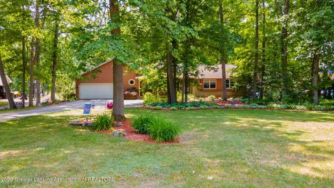 6371 Pleasant River Dr, Dimondale, MI 48821