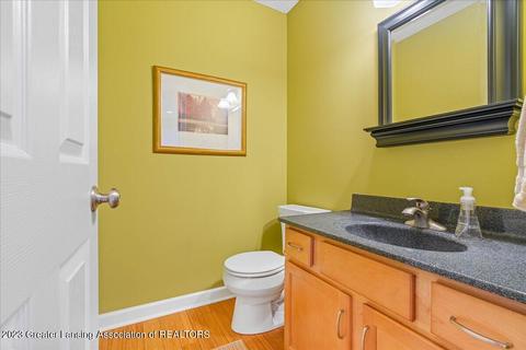12825 Chartreuse Dr, Dewitt, MI 48820 photo 21