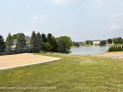 12825 Chartreuse Dr, Dewitt, MI 48820 photo 5