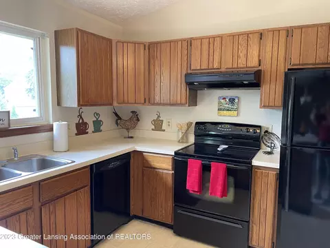 338 Bronco Way, Lansing, MI 48917 photo 2