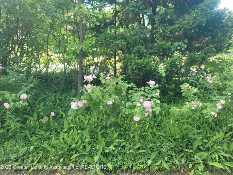 5335 Duffield Rd, Flushing, MI 48433 photo 5