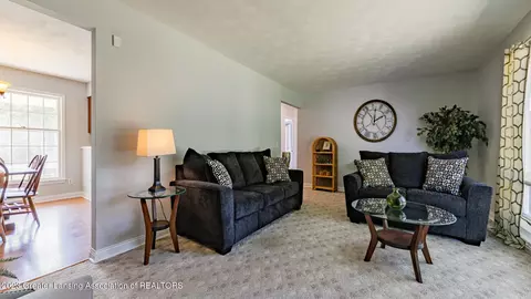 4070 Driftwood Dr, Dewitt, MI 48820 photo 3