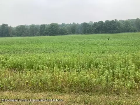 0 Birchridge Parcel J, Charlotte, MI 48813