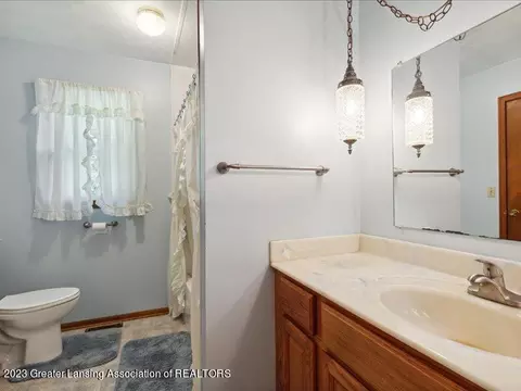 7720 Hall Rd, Bellevue, MI 49021 photo 19