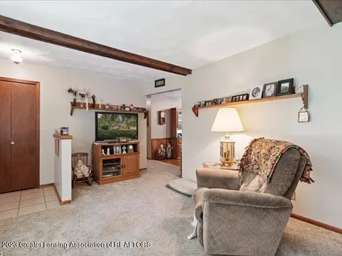 7720 Hall Rd, Bellevue, MI 49021 photo 9