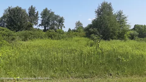 0 Montels Parcel A Way, Charlotte, MI 48813
