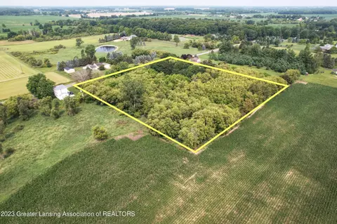 6733 S Loomis Rd, Dewitt, MI 48820 photo 4