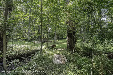 13555 S Wright Rd, Eagle, MI 48822 photo 19