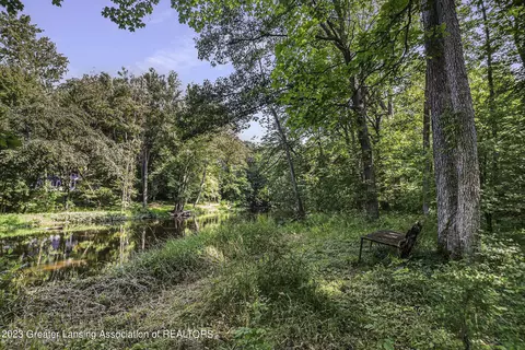 13555 S Wright Rd, Eagle, MI 48822 photo 20