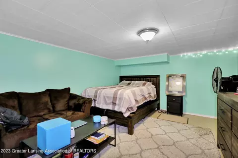 13165 Old Hickory Trl, Dewitt, MI 48820 photo 34
