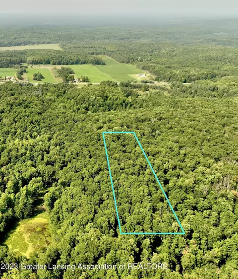 Vl E Moorestown Road, Lake City, MI 49651