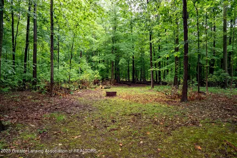 2293 E M21, Saint Johns, MI 48879 photo 7