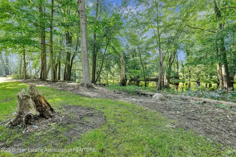310 W Spring Meadows Ln, Dewitt, MI 48820 photo 42