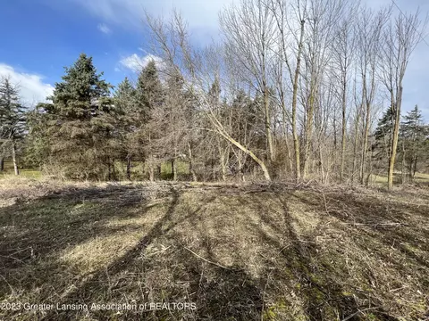 0 Clintonia Rd, Portland, MI 48875