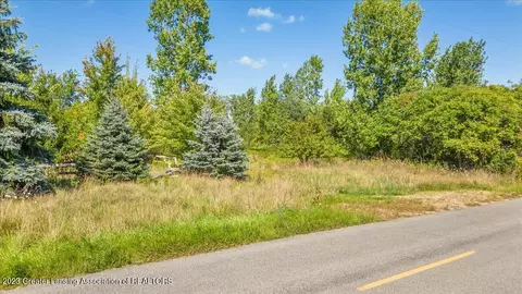 0 Tomlinson Rd, Mason, MI 48854