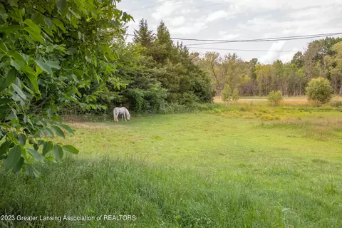 709 W Dewey Rd, Owosso, MI 48867 photo 43
