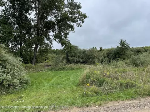 0 Clise Rd, Bath, MI 48808