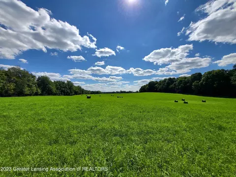 0 Iosco Rd, Dansville, MI 48819