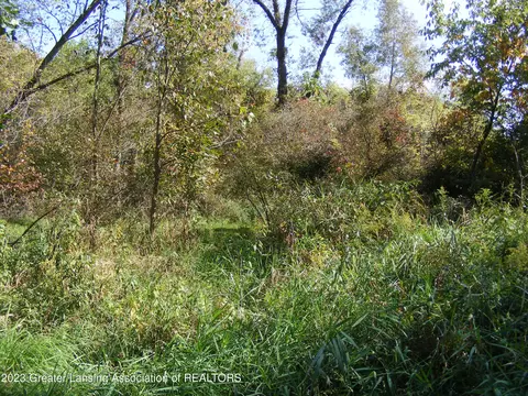 25010 T Dr N, Olivet, MI 49076 photo 38