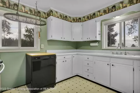 8405 Goodwin Rd, Lyons, MI 48851 photo 4