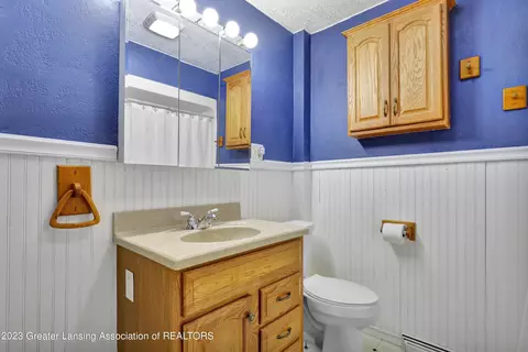 8405 Goodwin Rd, Lyons, MI 48851 photo 13