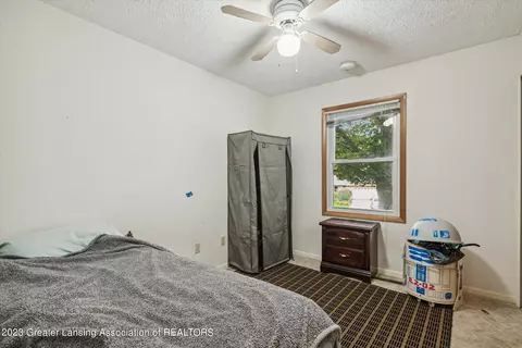 1111 E Geneva, Dewitt, MI 48820 photo 19