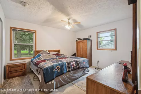 1111 E Geneva, Dewitt, MI 48820 photo 16