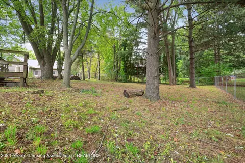 1111 E Geneva, Dewitt, MI 48820 photo 27