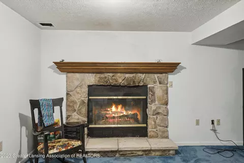 1111 E Geneva, Dewitt, MI 48820 photo 23
