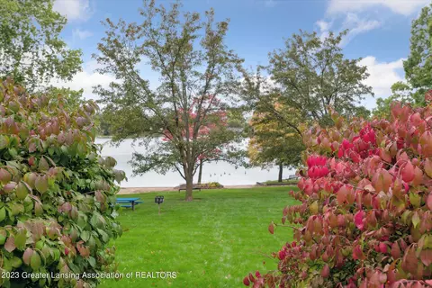 1111 E Geneva, Dewitt, MI 48820 photo 31