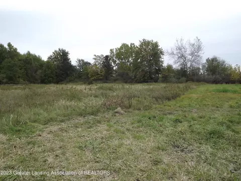 2223 S Ionia Rd, Bellevue, MI 49021 photo 9