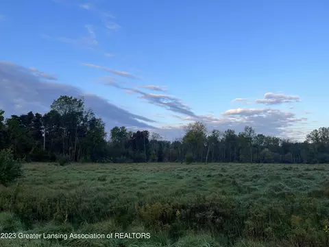 Vl Woodhull Road, Laingsburg, MI 48848