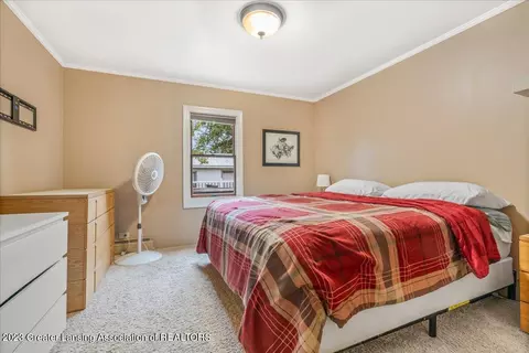 372 1st St, Sunfield, MI 48890 photo 14