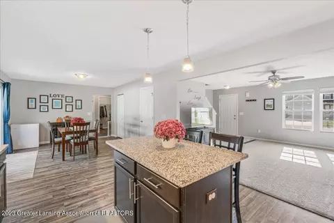 239 Noleigh Ln, Dewitt, MI 48820 photo 14
