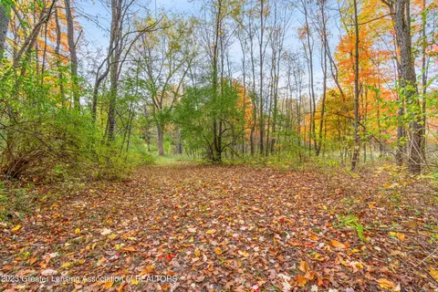 9380 Coleman Rd, Haslett, MI 48840 photo 45