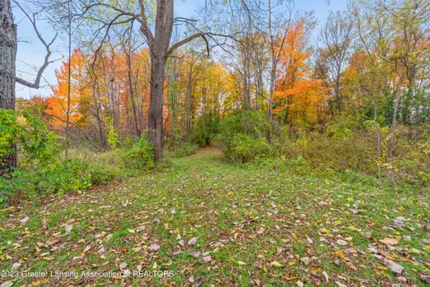 9380 Coleman Rd, Haslett, MI 48840 photo 44