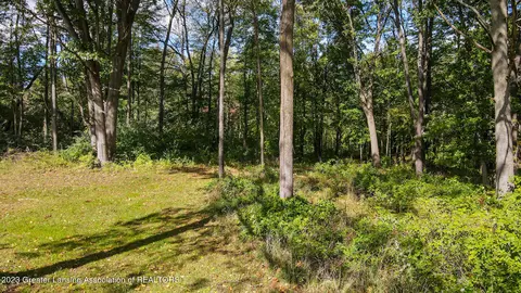View/Area - 1824 Towner Rd, Haslett, MI 48840 photo 3 of 6