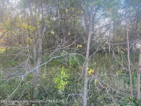 Undisclosed, Springport, MI 49284 photo 6