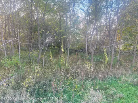 Undisclosed, Springport, MI 49284 photo 8