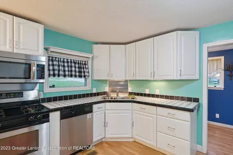 225 Elm St, Dimondale, MI 48821 photo 6