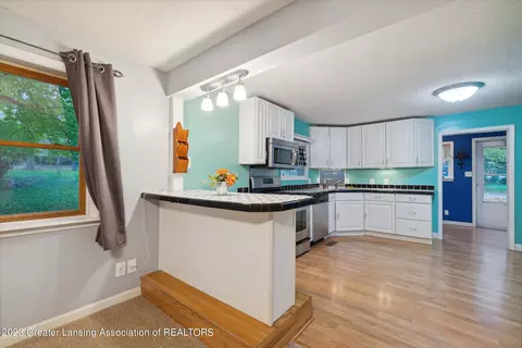 225 Elm St, Dimondale, MI 48821 photo 7