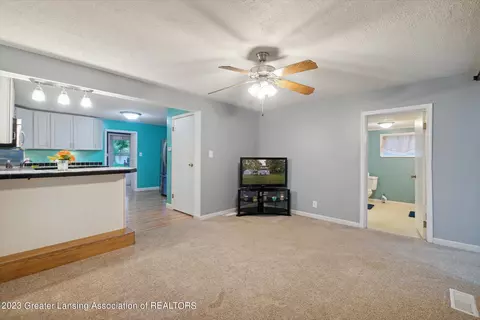 225 Elm St, Dimondale, MI 48821 photo 9