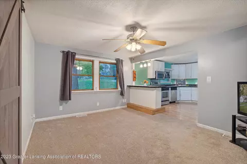 225 Elm St, Dimondale, MI 48821 photo 8