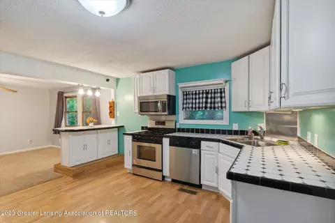 225 Elm St, Dimondale, MI 48821 photo 4