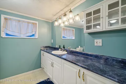 225 Elm St, Dimondale, MI 48821 photo 15