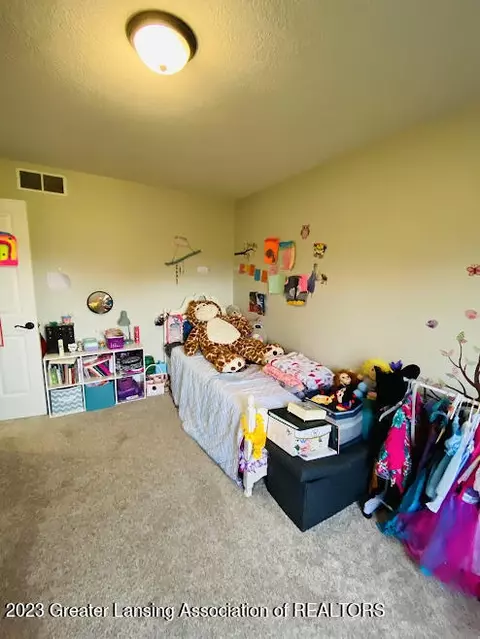 9928 Segar Rd, Springport, MI 49284 photo 17