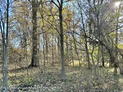 7461 W Chadwick Rd, Dewitt, MI 48820 photo 74