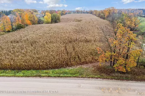 12159 Forest Hill Rd, Dewitt, MI 48820 photo 13
