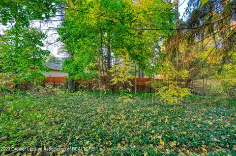 V/l Delta River Drive, Lansing, MI 48906
